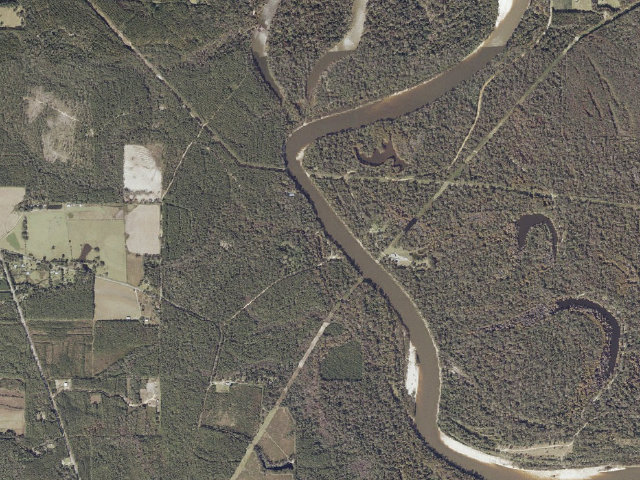 Aerial image of Pascagoula River WMA camp site 11