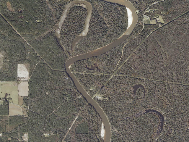 Aerial image of Pascagoula River WMA camp site 12