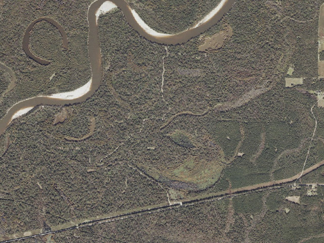 Aerial image of Pascagoula River WMA camp site 13