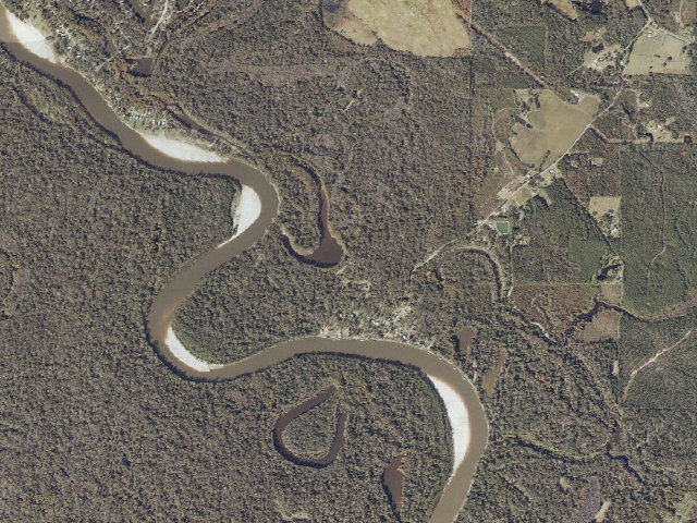 Aerial image of Pascagoula River WMA camp site 15