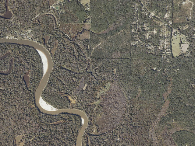 Aerial image of Pascagoula River WMA camp site 16
