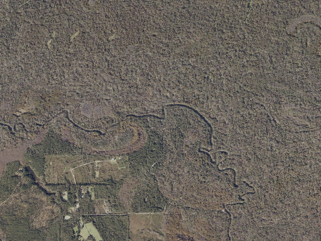 Aerial image of Pascagoula River WMA camp site 17