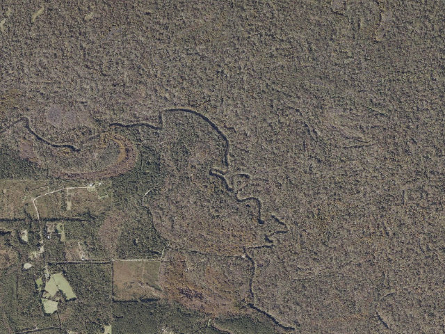 Aerial image of Pascagoula River WMA camp site 18