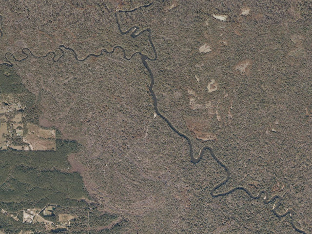 Aerial image of Pascagoula River WMA camp site 19