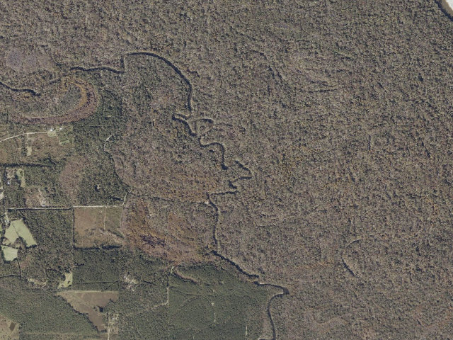 Aerial image of Pascagoula River WMA camp site 2