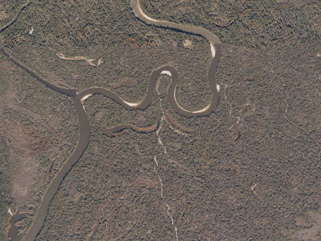 Aerial image of Pascagoula River WMA camp site 20