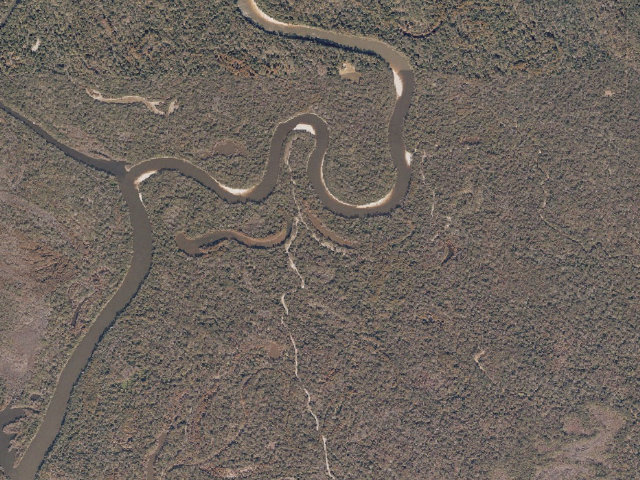 Aerial image of Pascagoula River WMA camp site 21