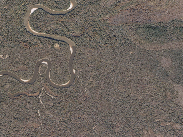 Aerial image of Pascagoula River WMA camp site 22