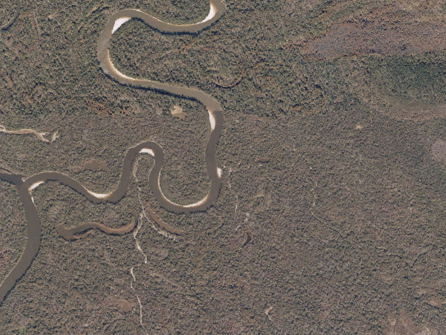 Aerial image of Pascagoula River WMA camp site 23