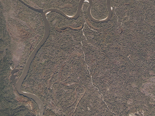 Aerial image of Pascagoula River WMA camp site 25