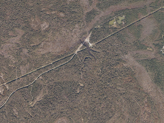 Aerial image of Pascagoula River WMA camp site 26