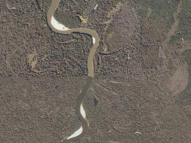 Aerial image of Pascagoula River WMA camp site 3