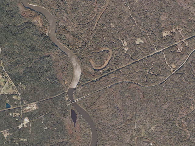 Aerial image of Pascagoula River WMA camp site 4