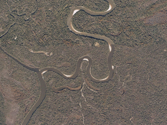 Aerial image of Pascagoula River WMA camp site 5