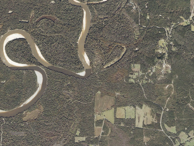 Aerial image of Pascagoula River WMA camp site 6