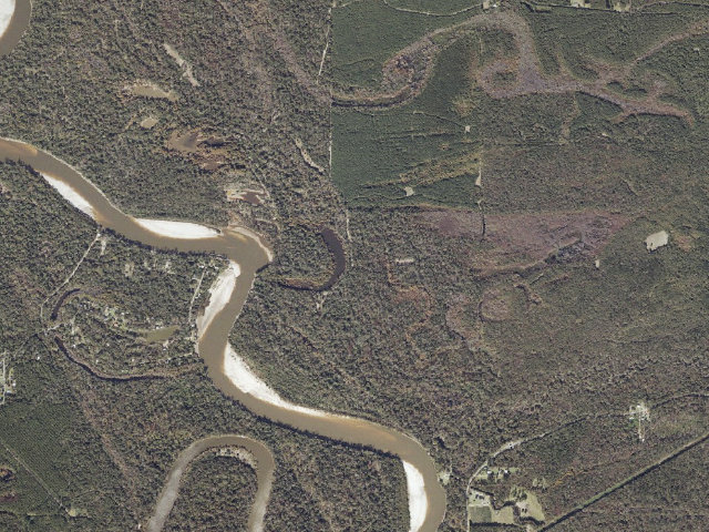 Aerial image of Pascagoula River WMA camp site 8