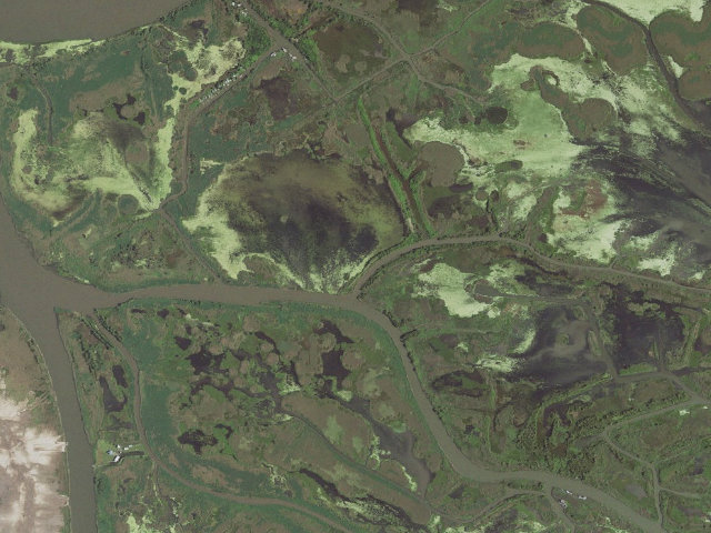 Aerial image of Pass-a-Loutre WMA camping area -- Loomis Pass 1st