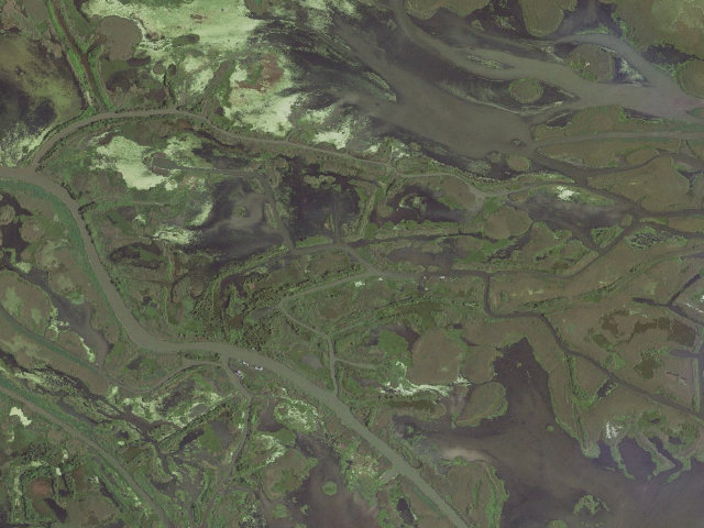 Aerial image of Pass-a-Loutre WMA camping area -- Loomis Pass 2nd