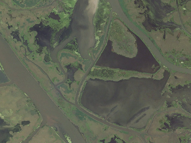 Aerial image of Pass-a-Loutre WMA camping area -- near Fresh Water Reservoir
