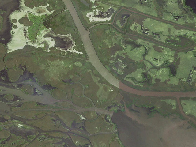 Aerial image of Pass-a-Loutre WMA primitive camping area 5