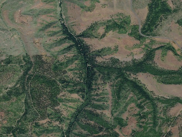 Aerial image of Pataha Campground