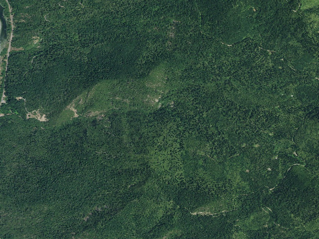 Aerial image of Patrick Creek Camps