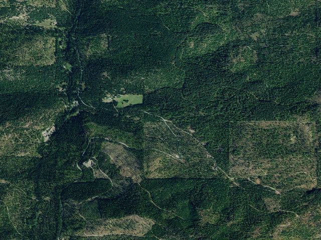 Aerial image of Patrick Creek Dispersed Site 4