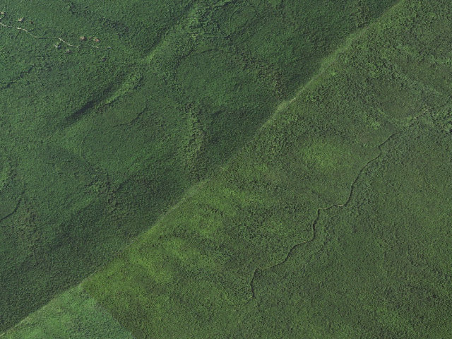 Aerial image of Paul Gerhard Tuscarora Shelter