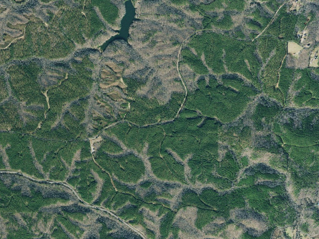 Aerial image of Paulding Forest WMA Primitive Campground #1