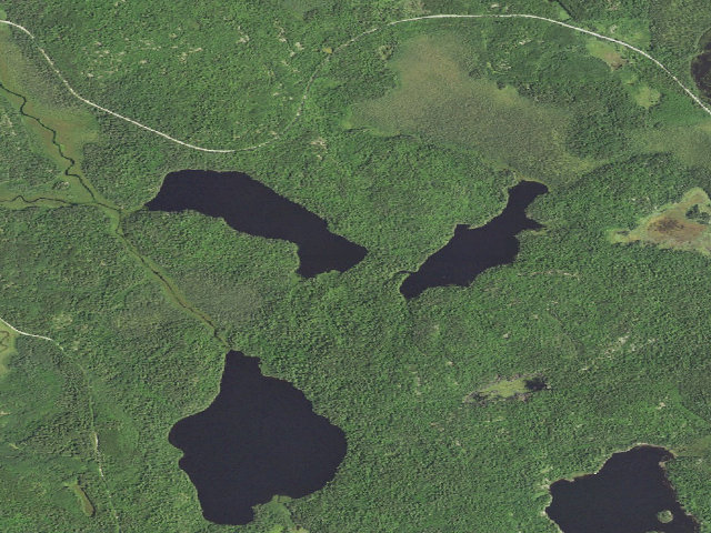 Aerial image of Pauline Lake Site 1