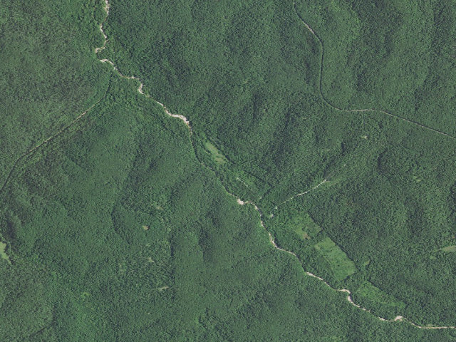 Aerial image of Pea Ridge Conservation Area