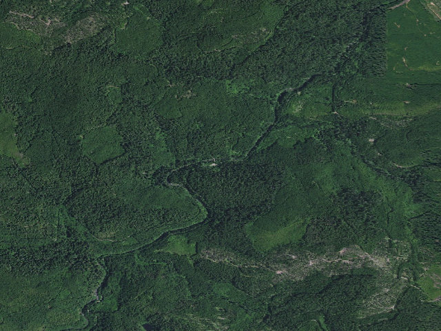 Aerial image of Peacock