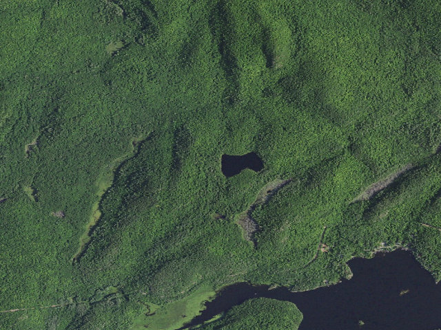 Aerial image of Peaked Hill Pond Tentsite [DEC #18355] (Hammond Pond Wild Forest)