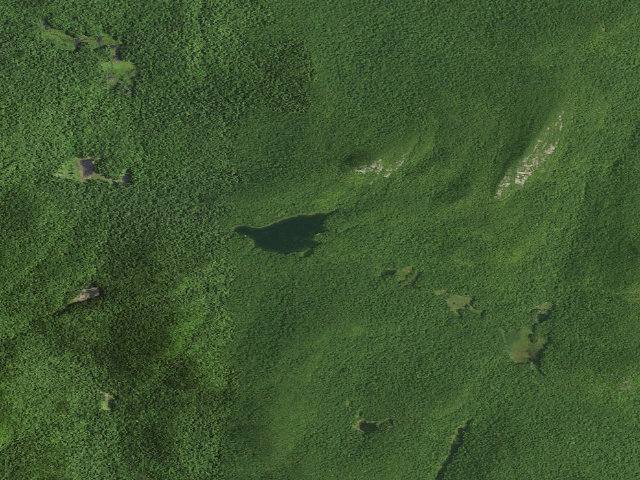 Aerial image of Peaked Mt Pond Campsite 1 (Siamese Ponds Wilderness)
