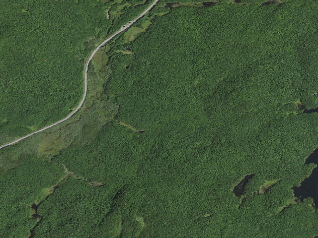 Aerial image of Peavine Swamp Loop 1 Campsite (Cranberry Lake Wild Forest)