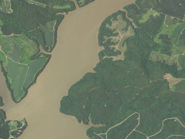 Aerial image of Pee Dee River Game Land camping area #1