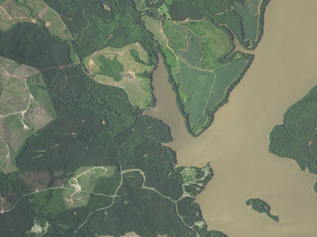 Aerial image of Pee Dee River Game Land camping area #5