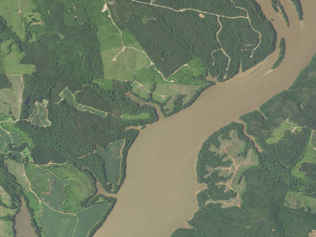 Aerial image of Pee Dee River Game Land camping area #7