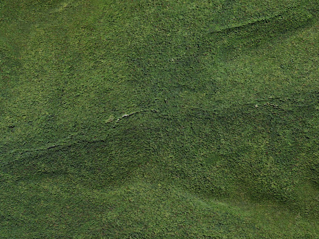 Aerial image of Peekamoose-Table Trail Campsite [DEC #228718] (Slide Mountain Wilderness)