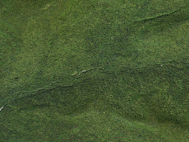 Aerial image of Peekamoose-Table Trail Campsite [DEC #228993] (Slide Mountain Wilderness)