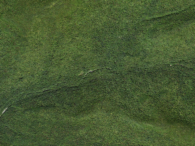 Aerial image of Peekamoose-Table Trail Campsite [DEC #228994] (Slide Mountain Wilderness)