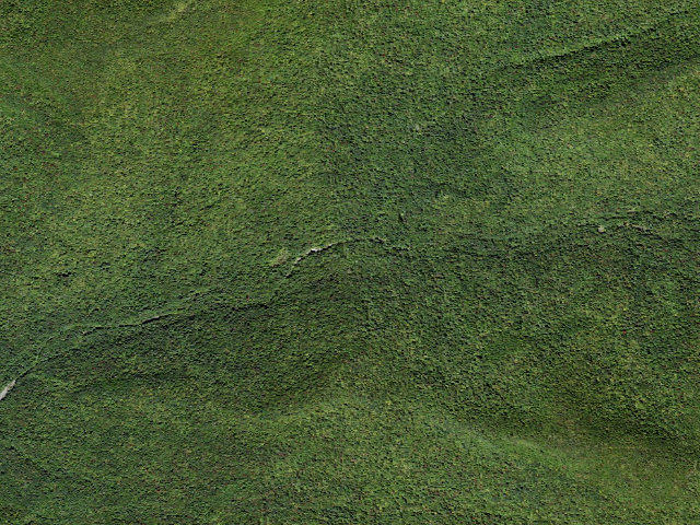 Aerial image of Peekamoose-Table Trail Campsite [DEC #228995] (Slide Mountain Wilderness)