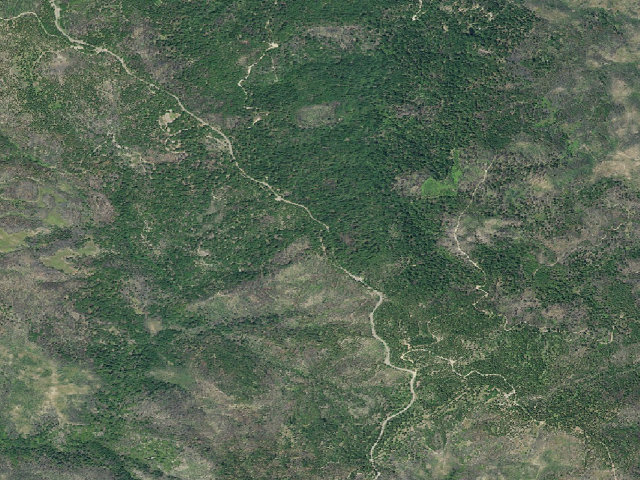 Aerial image of Penny Pines