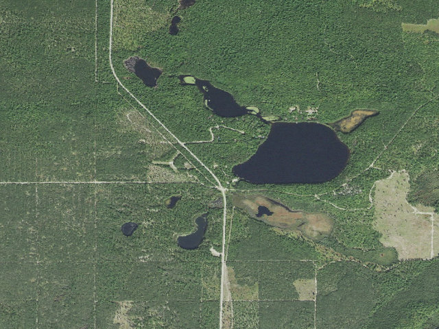 Aerial image of Perch Lake State Forest Campground
