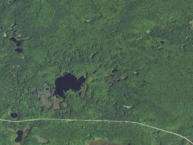 Aerial image of Perch Lake