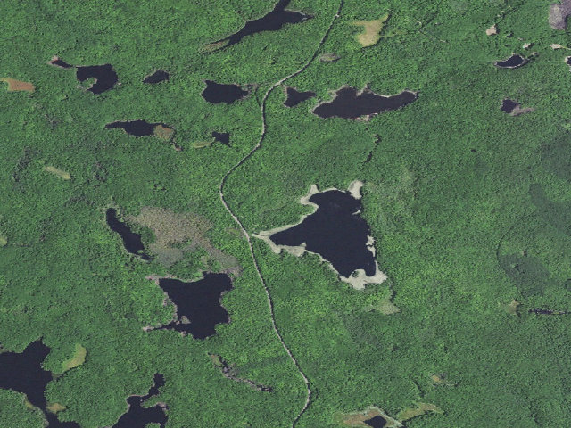 Aerial image of Perch Lake