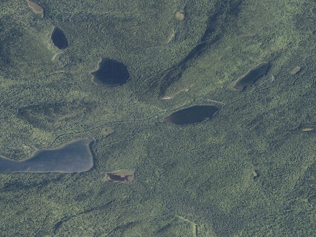 Aerial image of Perch Pond Dam (Deboullie Public Land)
