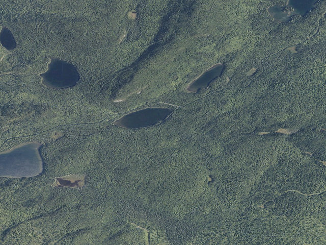 Aerial image of Perch Pond (Deboullie Public Land)