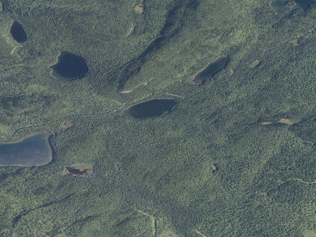 Aerial image of Perch Pond South (Deboullie Public Land)