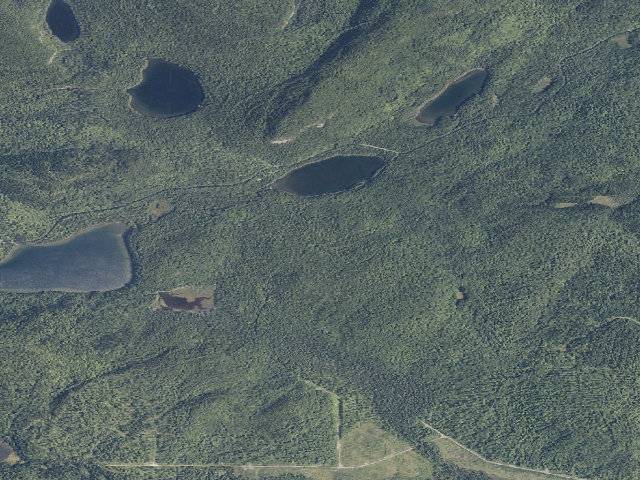 Aerial image of Perch Pond Woodland (Deboullie Public Land)